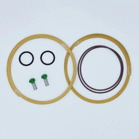 Edwards nXDS6i nXDS10i nXDS15i & nXDS20i Replacement Tip Seal Kit 73501801